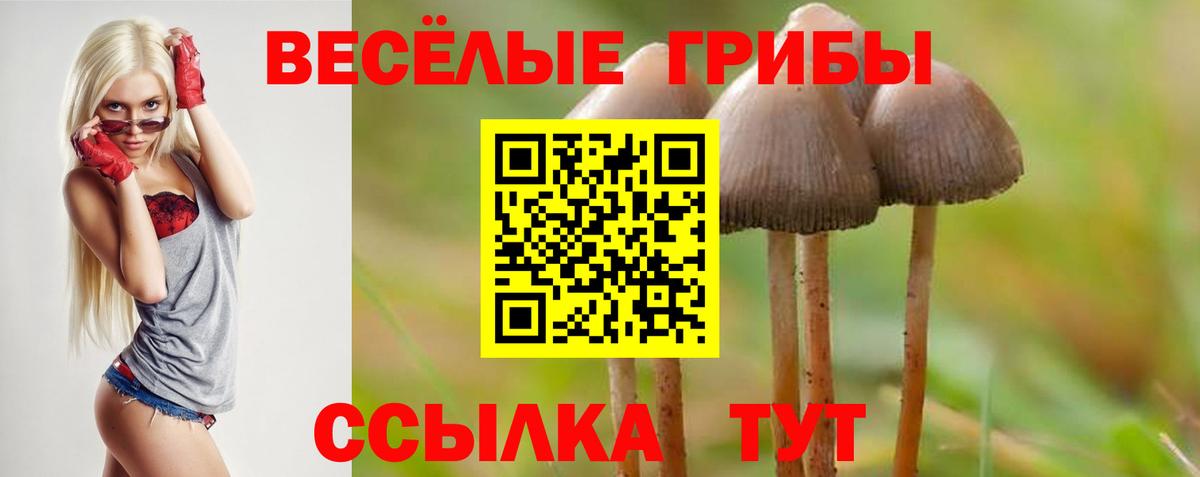 где можно купить   Галлюциногенные грибы GOLDEN TEACHER  Вход с VPN  Рязань 